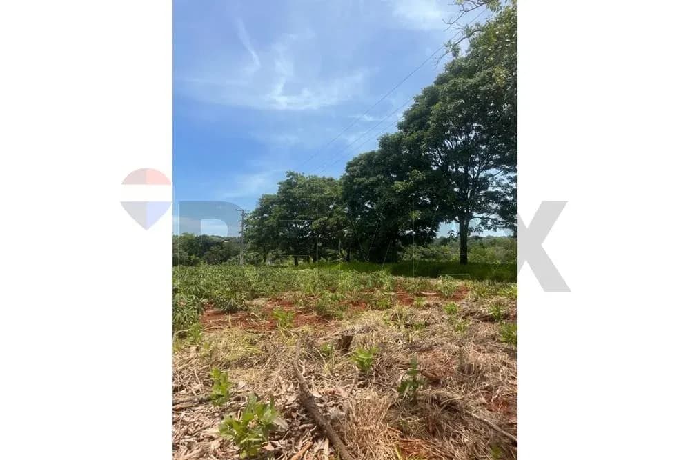 Terreno de 2,385m² en Venta en Don Bosco, Ciudad del Este - Image 6