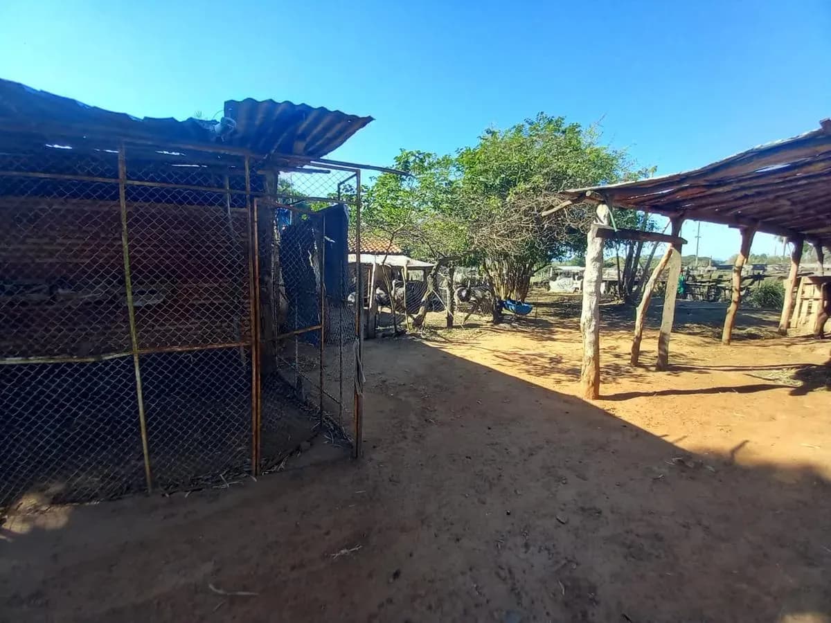Land for Sale in Nueva Italia - Image 13