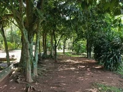 Terreno de 1,377m² en Venta en Santo Domingo, Areguá - Image 5