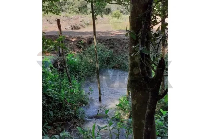 1m² Land for Sale in Mbaracayú, Mbaracayú - Image 2