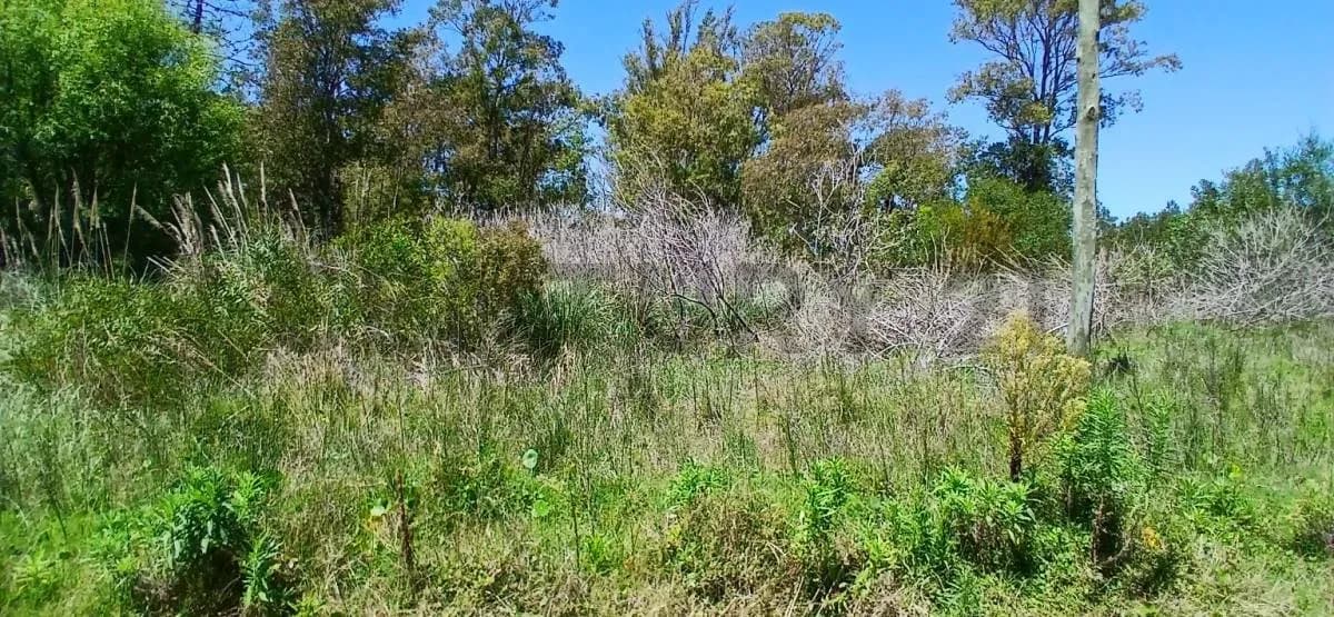 Terreno de 568m² en Venta en La Esmeralda