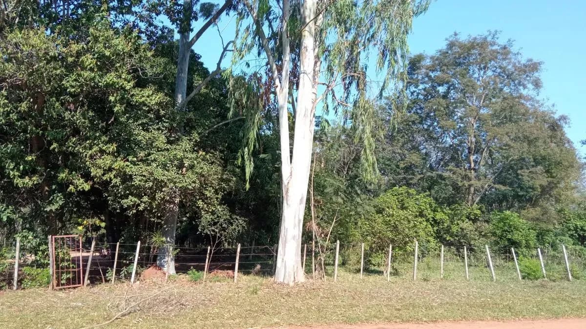 Land for Sale in Centro, Caacupé - Image 3