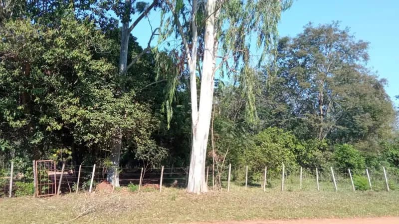 Land for Sale in Centro, Caacupé - Image 3
