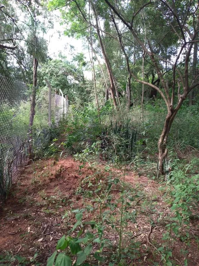 Terreno de 1,997m² en Venta en Ypacaraí - Image 17