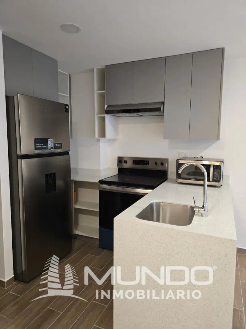 Departamento de 1 dormitorio en Parque 14, 44m², en Alquiler en Zona 14, Ciudad de Guatemala - Image 5