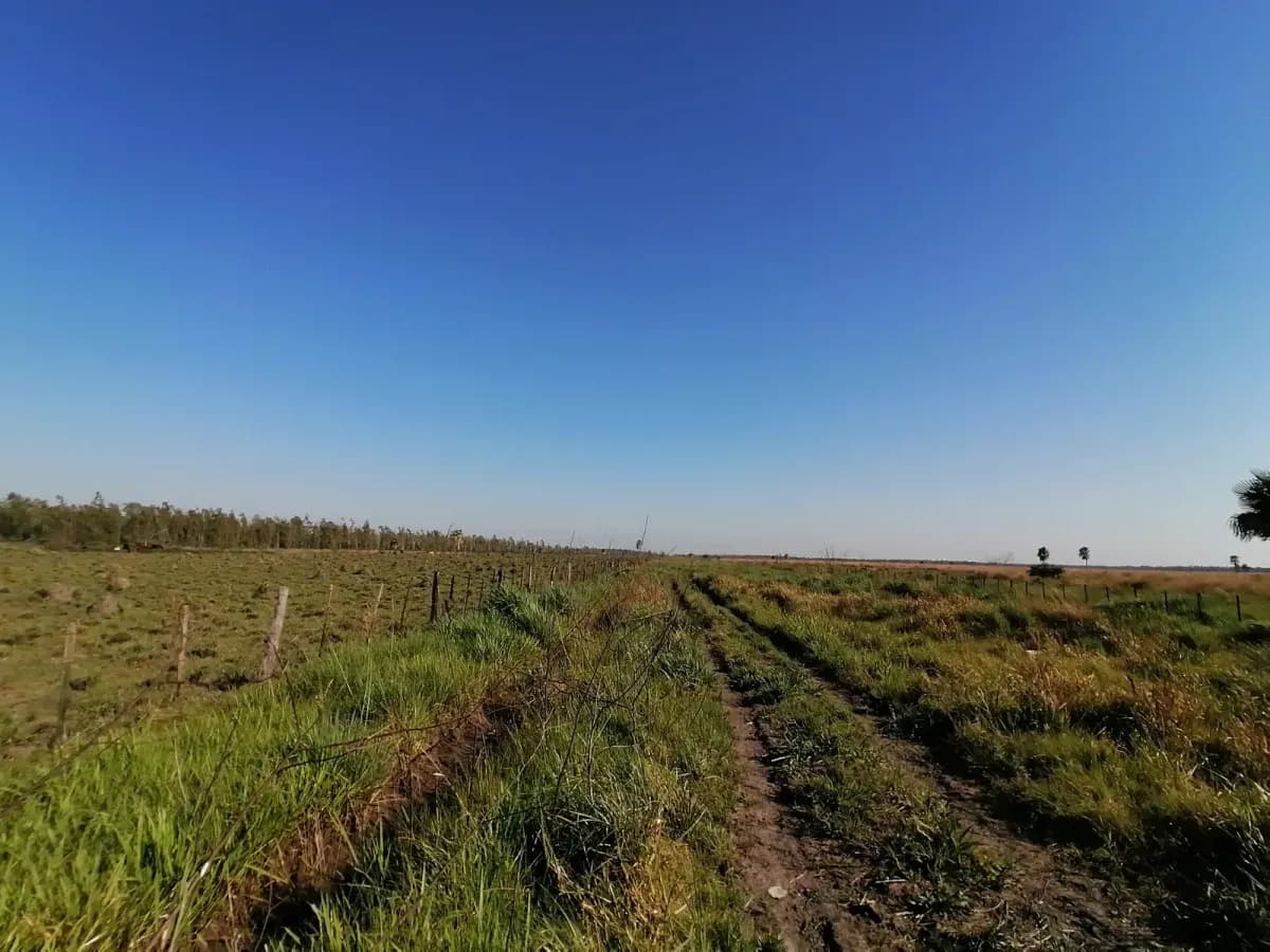 262m² Lot for Sale in Nueva Italia - Image 4