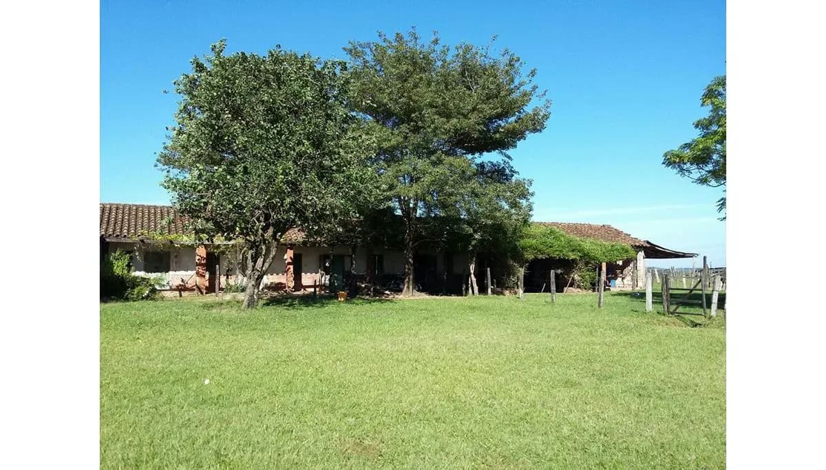 Land for Sale in Nueva Italia - Image 9