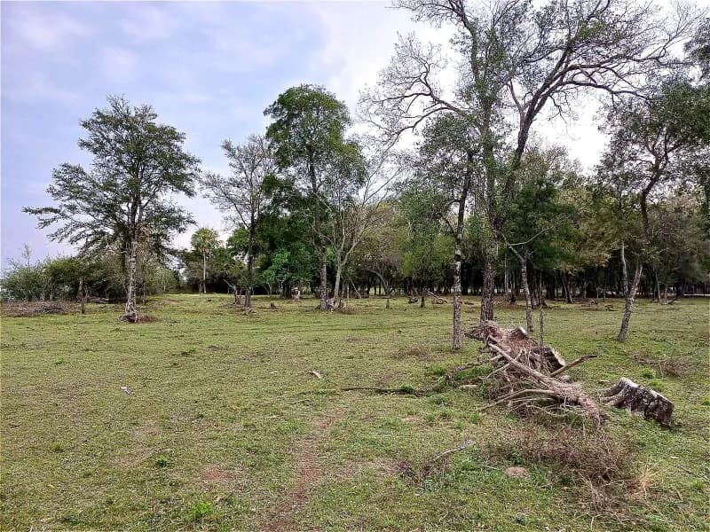 Terreno en Venta en Nanawa - Image 5