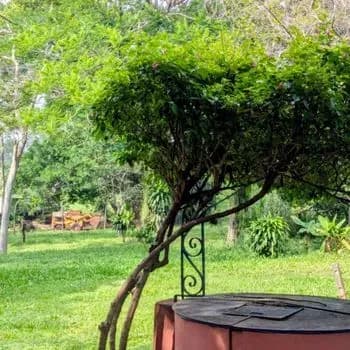 1,000m² Land for Sale in Campo Grande, Fernando de la Mora - Image 17