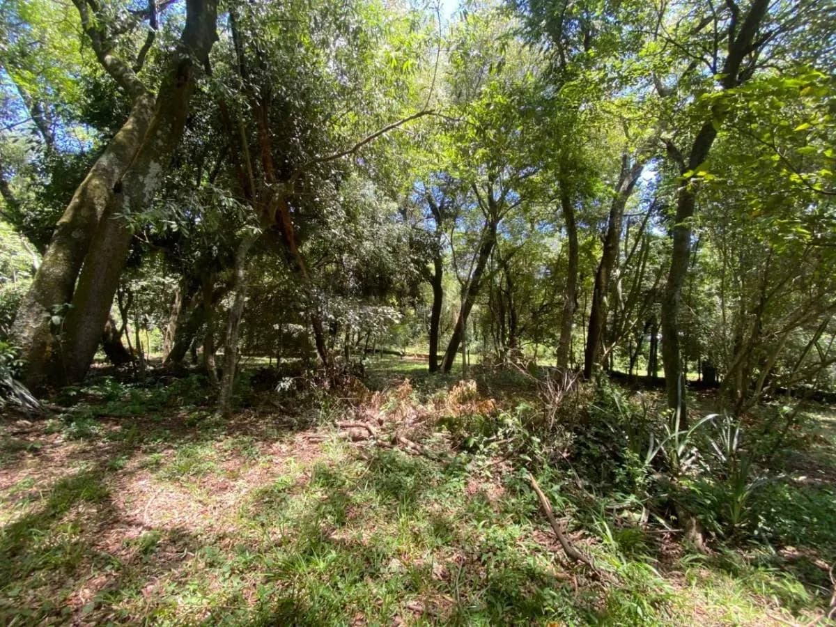 Casa de 5 dormitorios en Venta en Estanzuela, Areguá - Image 10