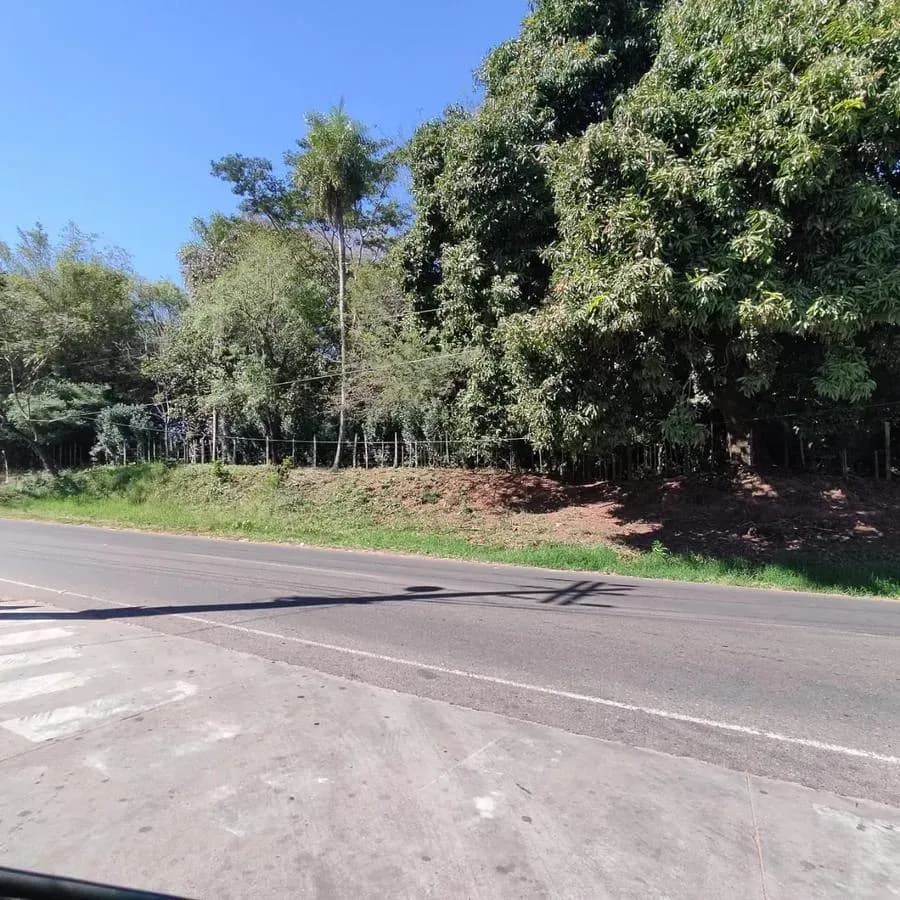Land for Sale in Ypané - Image 4