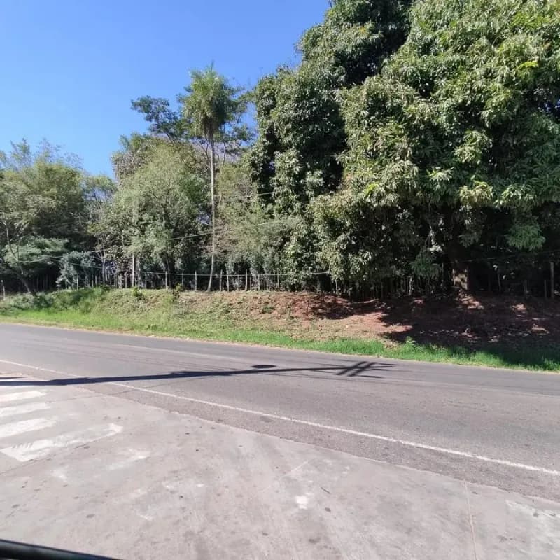 Land for Sale in Ypané - Image 4