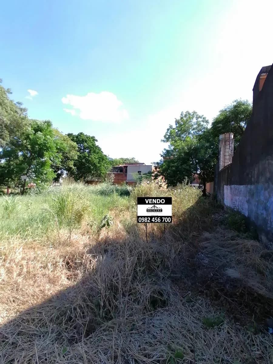 Terreno de 360m² à Venda em San Lorenzo - Image 6
