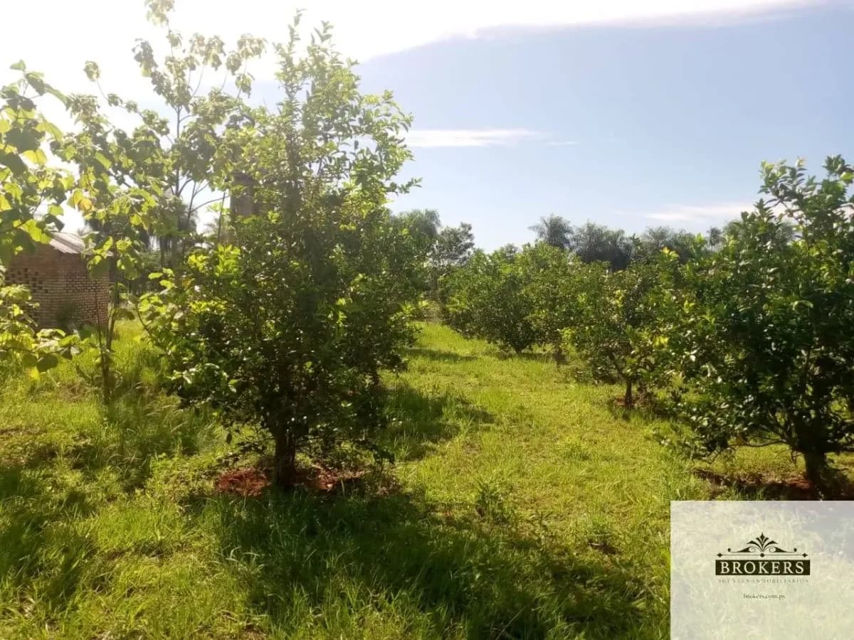 100,000m² Land for Sale in Ypacaraí - Image 13