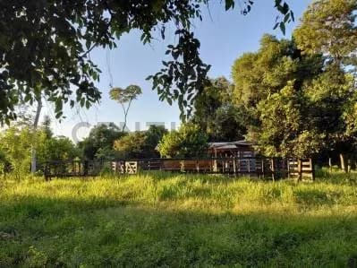Terreno de 46.5m² à Venda em Coronel Oviedo - Image 2