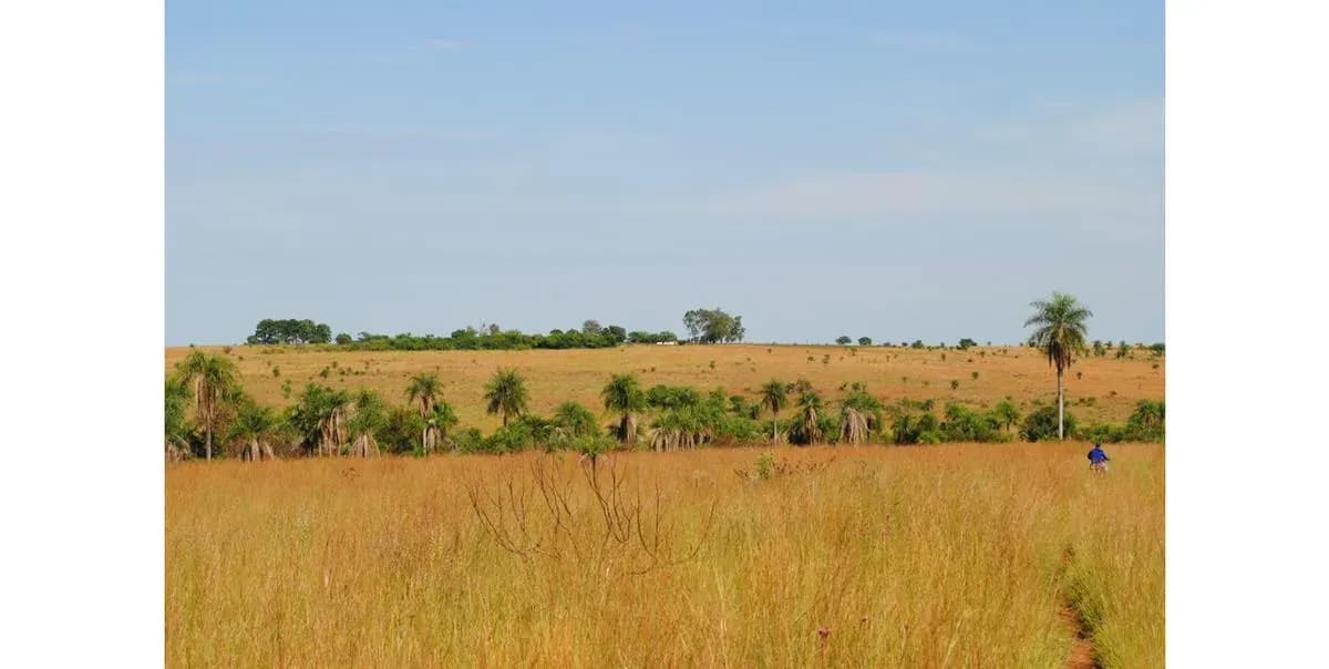 Land for Sale in Nueva Italia - Image 17