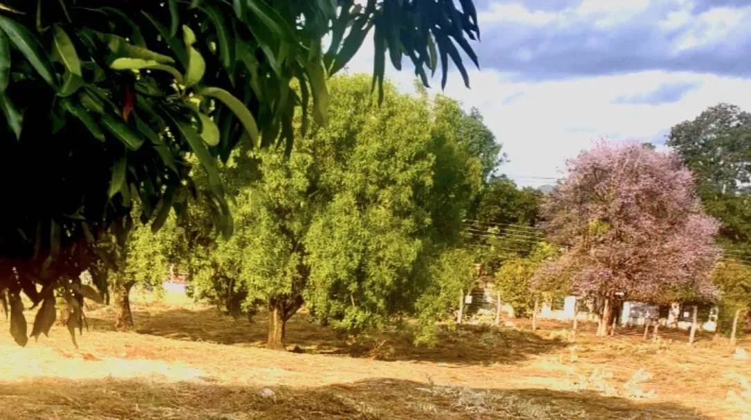 Terreno de 2,166m² à Venda em Arecayá, Mariano Roque Alonso