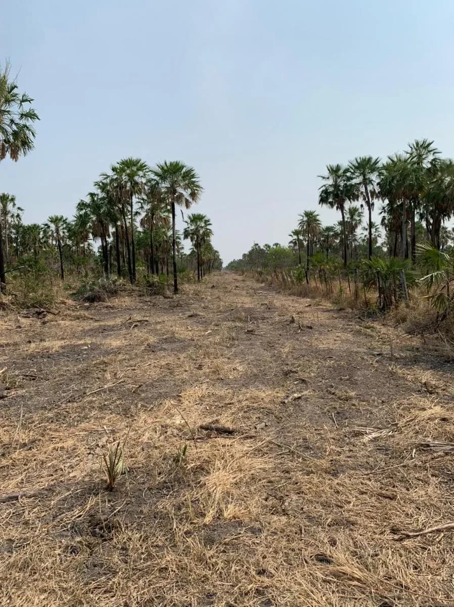 Terreno en Venta en Maria Auxiliadora, Fuerte Olimpo - Image 4