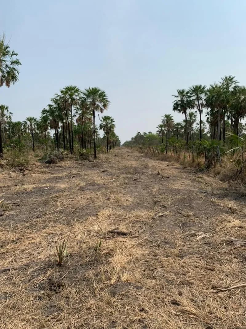 Terreno en Venta en Maria Auxiliadora, Fuerte Olimpo - Image 4