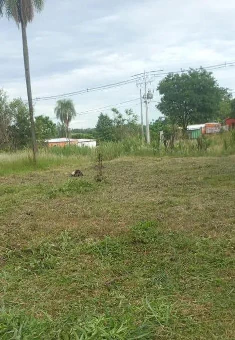 Terreno de 720m² en Venta en Limpio - Image 7