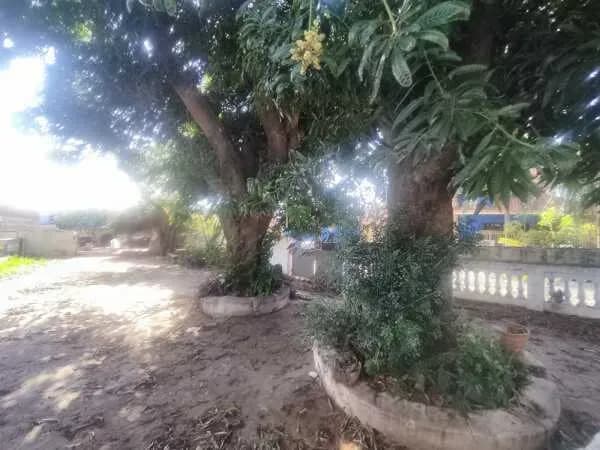 Casa de 2 quartos à Venda em Vista Alegre, Assunção - Image 5