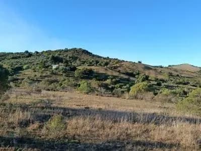 Terreno de 60,000m² en Venta en El Edén, Edén - Image 4
