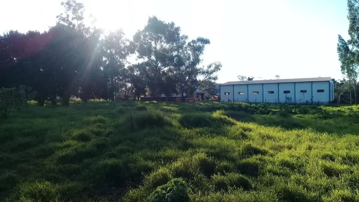 Terreno de 17m² à Venda em Arquitecto Tomás Romero Pereira - Image 17