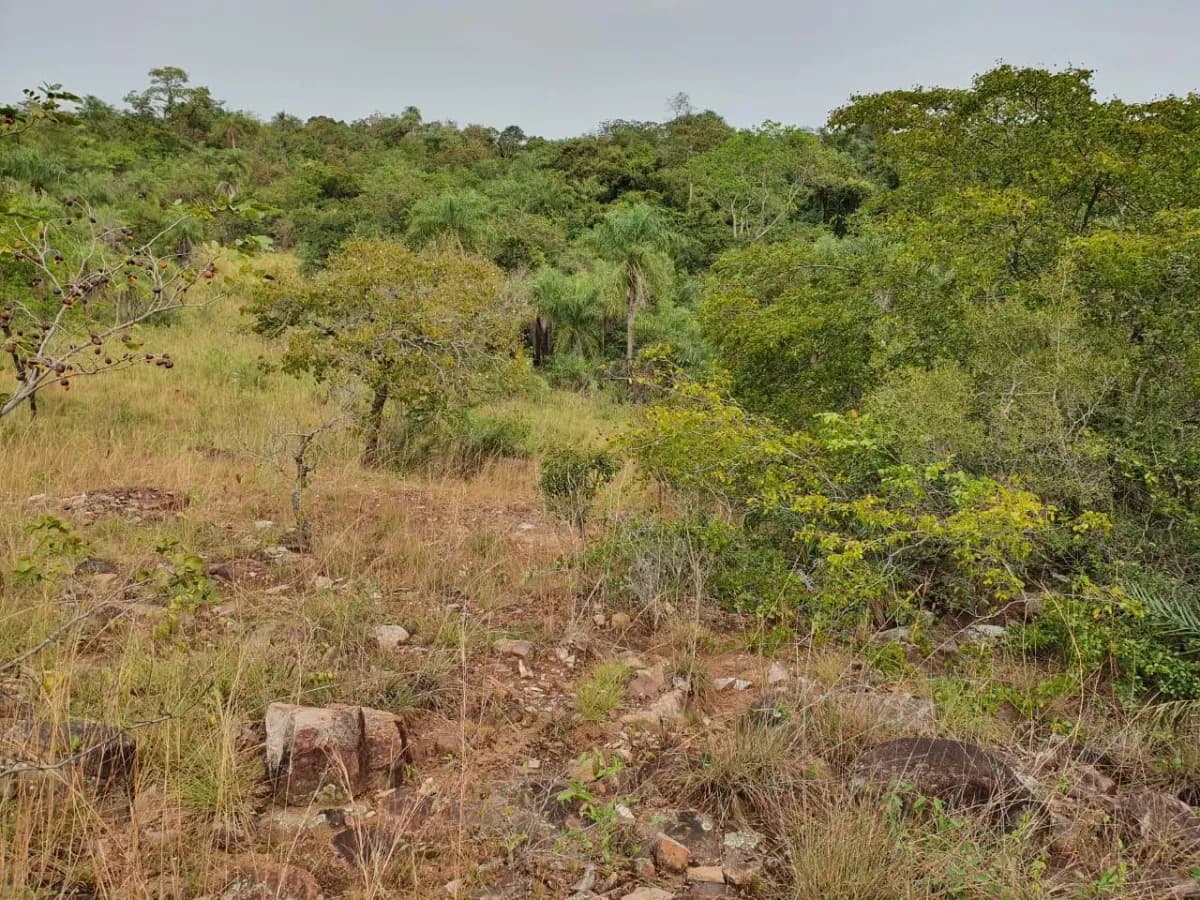 Terreno de 128,081m² en Venta en Limpio - Image 6