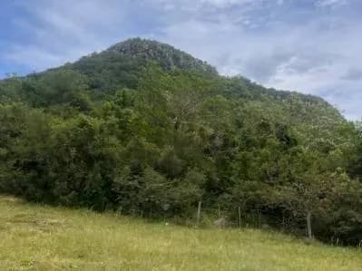 Terreno de 2.250m² à Venda em Paraguarí, Cidade de Arroyo Pora-Sub Urbano - Image 2