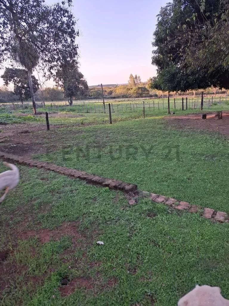 Terreno de 56,000m² en Venta en San Bernardino - Image 7