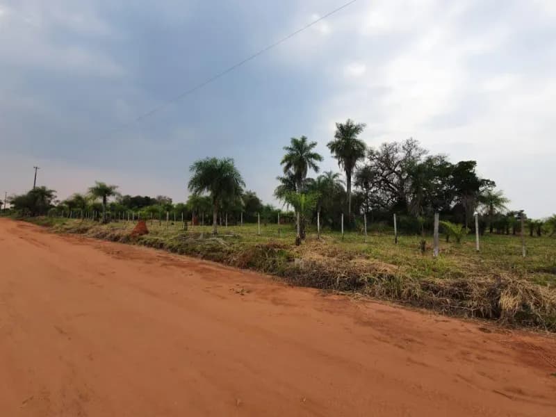 Terreno de 128,081m² en Venta en Limpio - Image 2