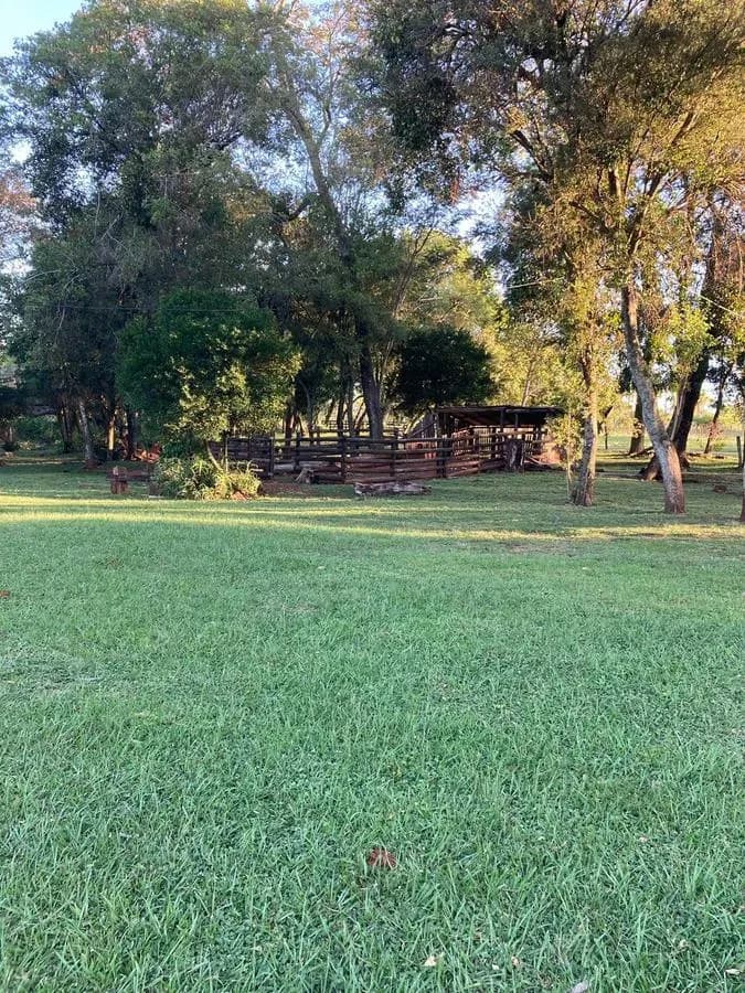 Terreno de 110,000m² en Venta en Caacupé - Image 4
