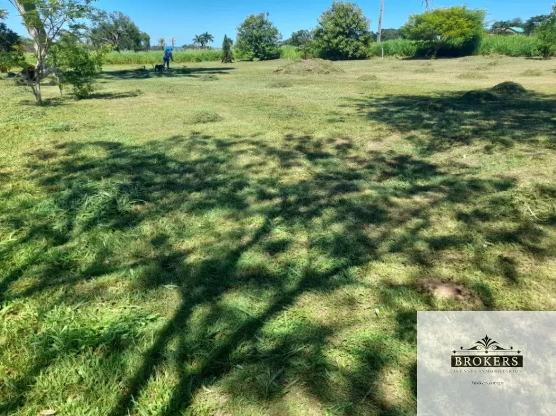 Terreno de 1,000m² en Venta en San Bernardino - Image 2