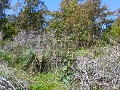 Terreno de 568m² en Venta en La Esmeralda - Image 2