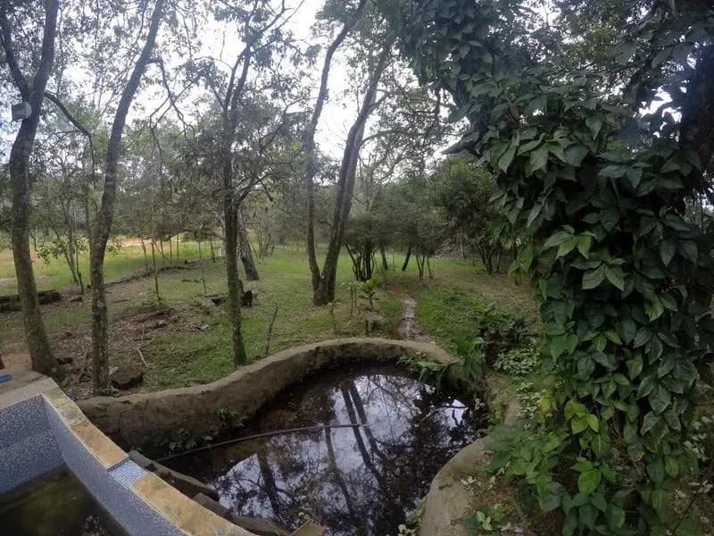 Terreno de 110,000m² en Venta en Caacupé - Image 8