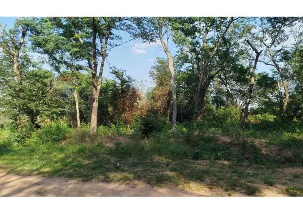 Terreno de 1,334m² en Venta en Estanzuela, Areguá - Image 7