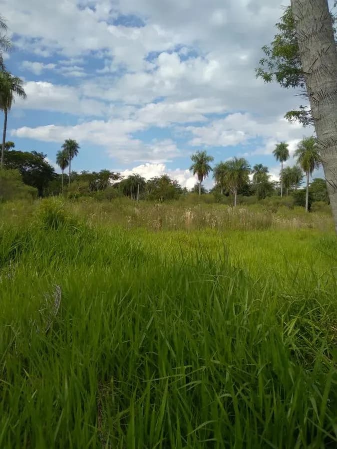 Terreno de 1,997m² en Venta en Ypacaraí - Image 8