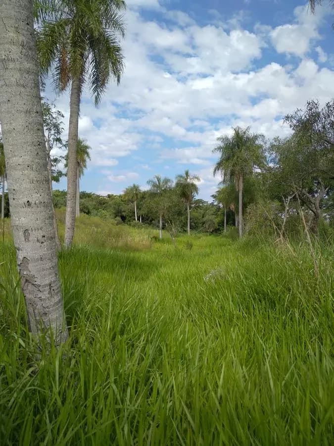 Terreno de 1,997m² en Venta en Ypacaraí - Image 9