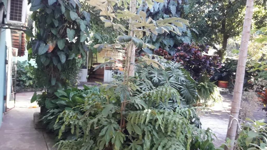 3-Bedroom House for Sale in Areguá - Image 4