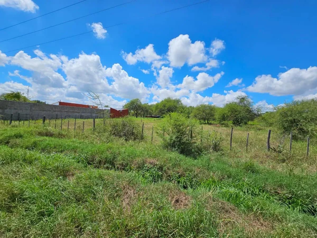 1.8m² Land for Sale in José Falcón - Image 6