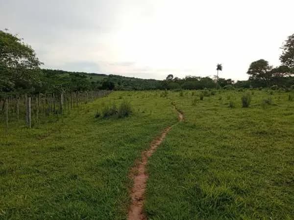 Terreno de 100.000m² à Venda em Caaguazú - Image 6