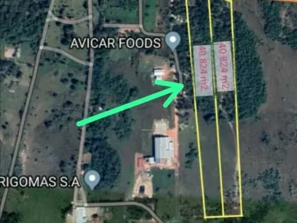 Terreno de 80,000m² en Venta en Salado, Limpio - Image 2