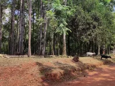 Terreno de 5.73m² à Venda em Ciudad de Arroyo Pora-Sub Urbano - Image 16