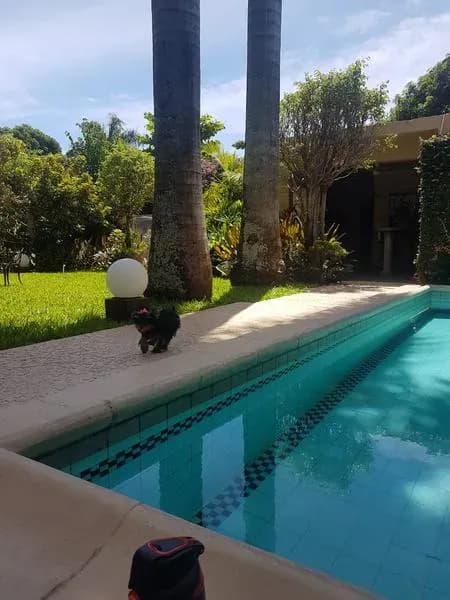 3-Bedroom House for Sale in Villa Aurelia, Fernando de la Mora - Image 2