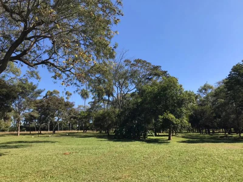 Terreno de 110,000m² en Venta en Caacupé - Image 2