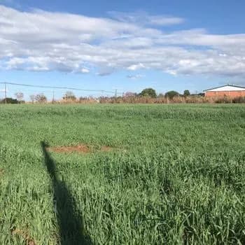 1,000m² Land for Sale in Campo Grande, Fernando de la Mora - Image 11