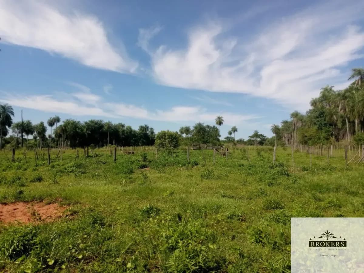 100,000m² Land for Sale in Ypacaraí - Image 20