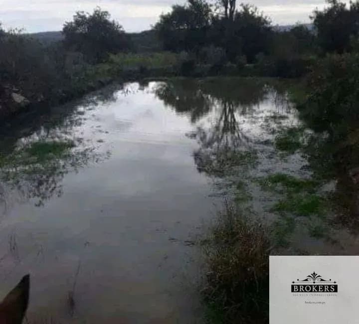 Terreno en Venta en Espíritu Santo, San Juan Bautista - Image 7
