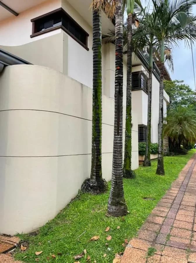 Casa de 4 quartos à Venda em Gral. Bernardino Caballero, Lambaré