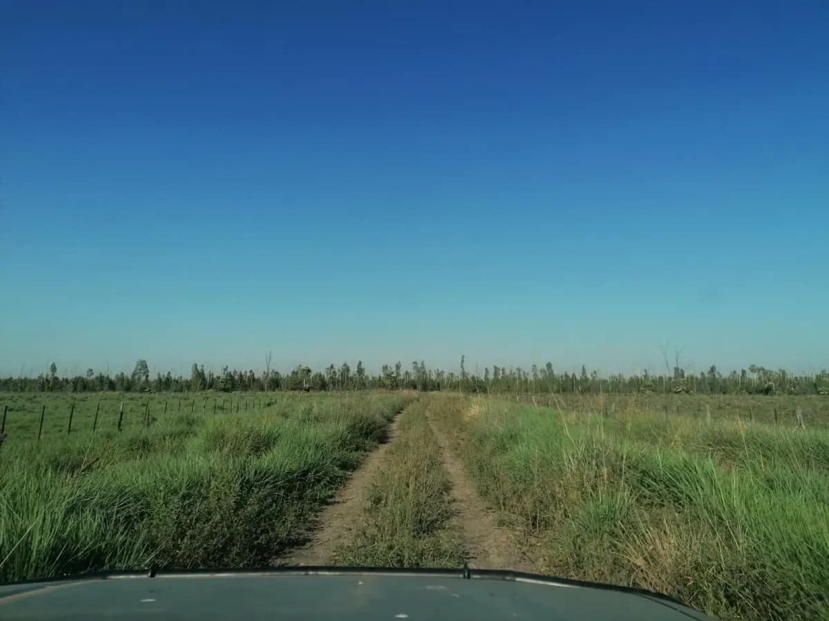 262m² Lot for Sale in Nueva Italia - Image 7